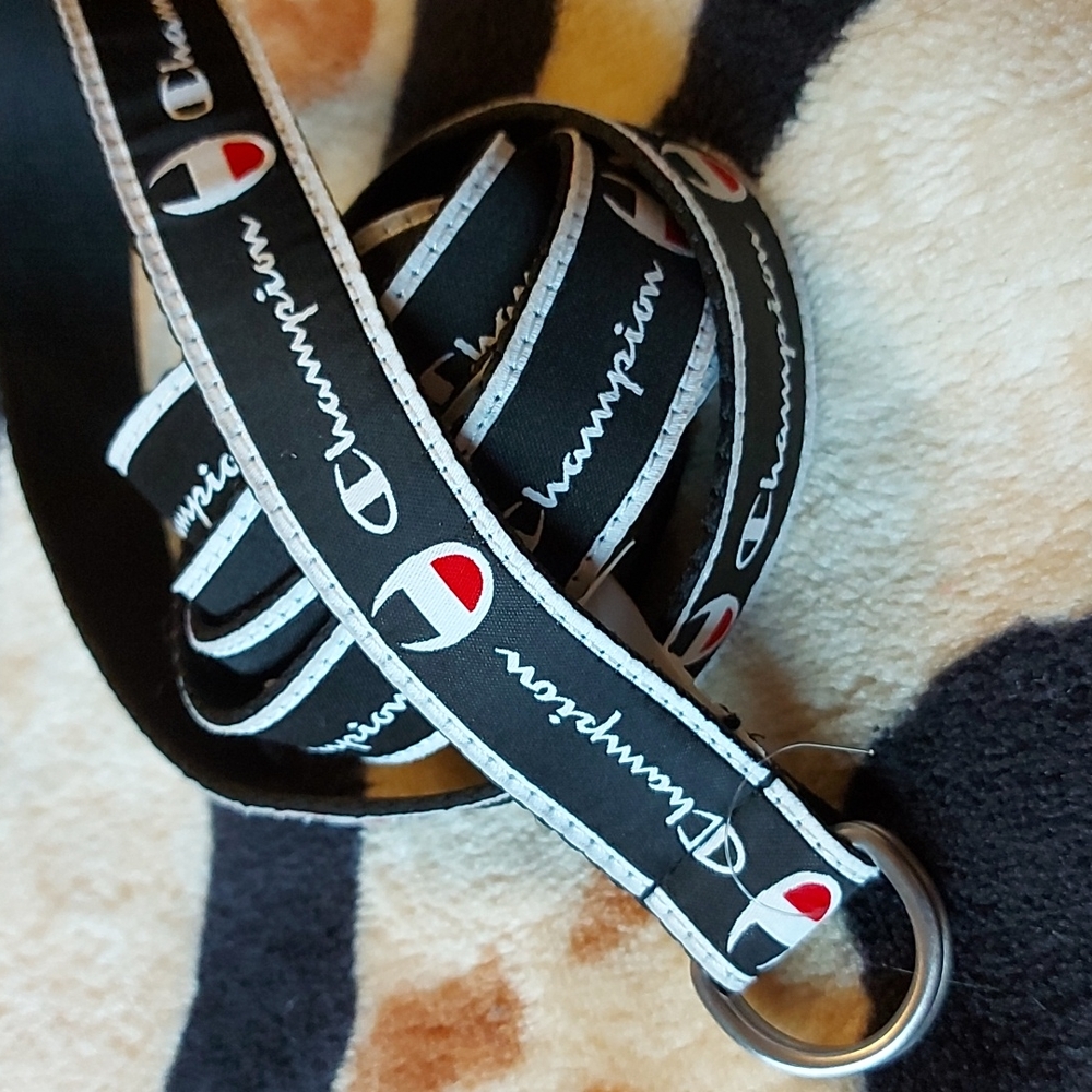 Belt